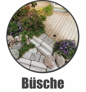 Busch Büsche Strauch Sträucher Begrünung Pflanzen Diorama Modellbau Dioramapresepe Fabio