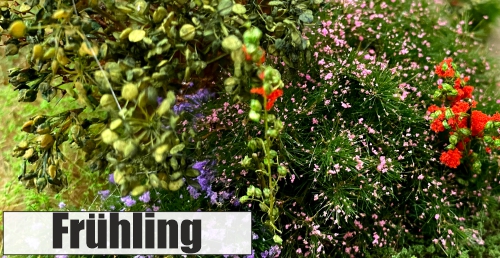 Frühling Begrünung Pflanzen Diorama Modellbau Dioramapresepe Fabio