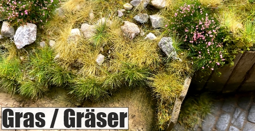 Gras Gräser grün braun hoch Begrünung Pflanzen Diorama Modellbau Dioramapresepe Fabio