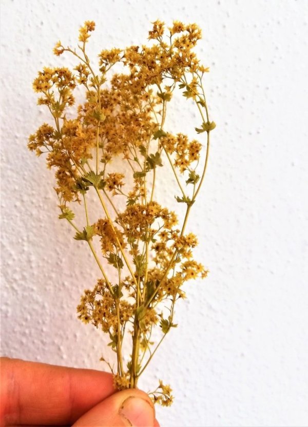 Blumenbesen Fiore Giallo mit gelben Blättern für Diorama - DioramaPresepe FM011