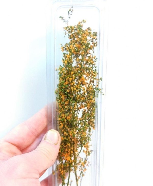 Hellgrüner stabilisierter Blattstrauch mit orangenen Blüten - DioramaPresepe FM019