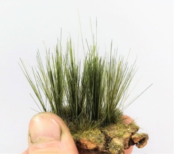 Hohes grünes Gras 2/4cm für Diorama - DioramaPresepe FM030