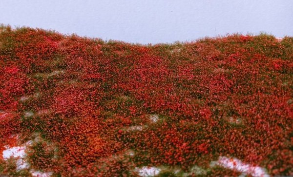 War Hammer grünes Gras mit roten Blüten Höhe 4/6 mm - DioramaPresepe FM043