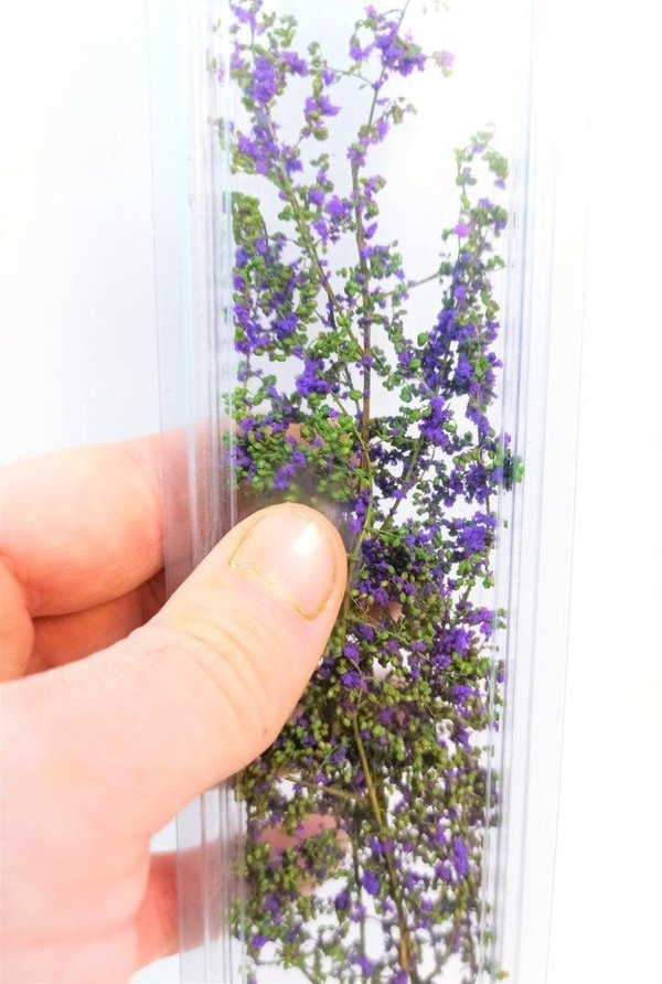 Hellgrüner stabilisierter Blattstrauch mit Lavendelviolettblüten - DioramaPresepe FM055