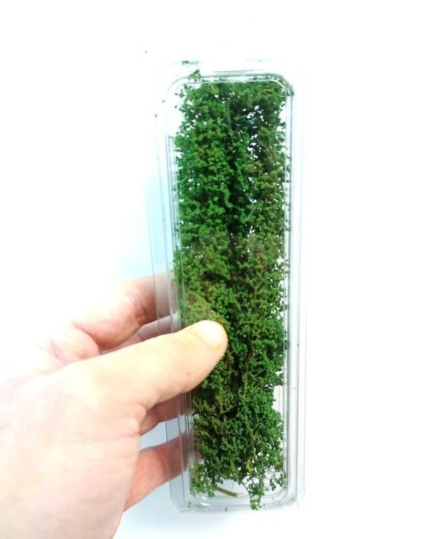 Kleiner grüner Frühlingsbusch mit frischen Blättern - DioramaPresepe FM056