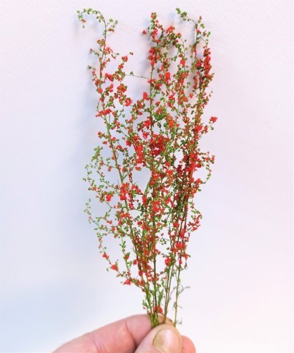 Hellgrüner stabilisierter Blattstrauch mit roten Blüten - DioramaPresepe FM057