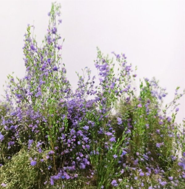 Grünes Gras mit violetten Blumen Kit - DioramaPresepe FM075