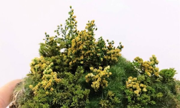 Kleine Blume mit grünen und gelben Schattierungen - DioramaPresepe FM080