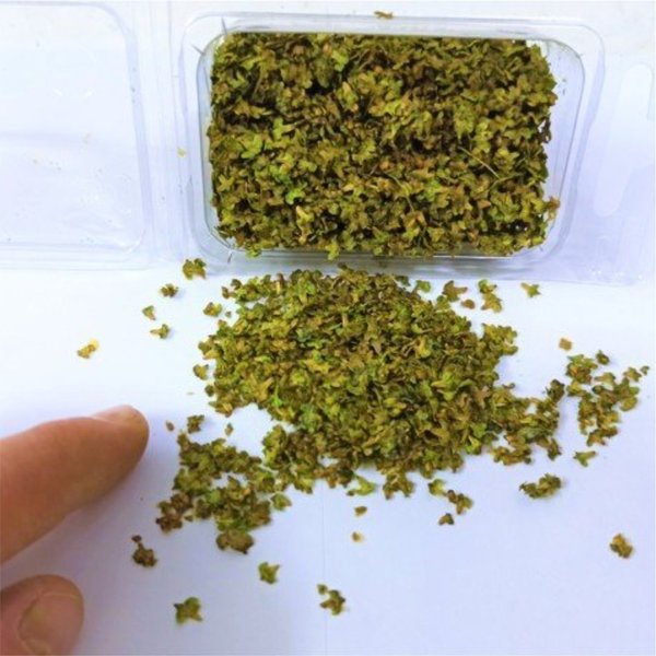 Natürliche Blätter grün mix - DioramaPresepe FM173