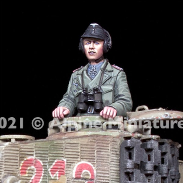 German WSS Panzer Ace Set 1:35 - Alpine 35292