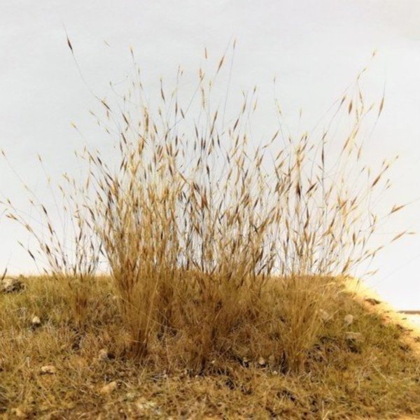 Hohes Gras vertrocknet im Sommer - DioramaPresepe FM005