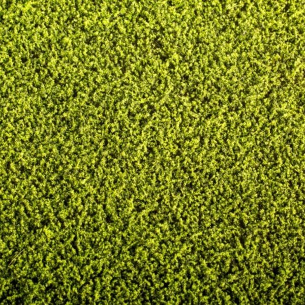 Fertige Matte - Alfalfa Pflanze 18 x 28 cm - Model Scene F440