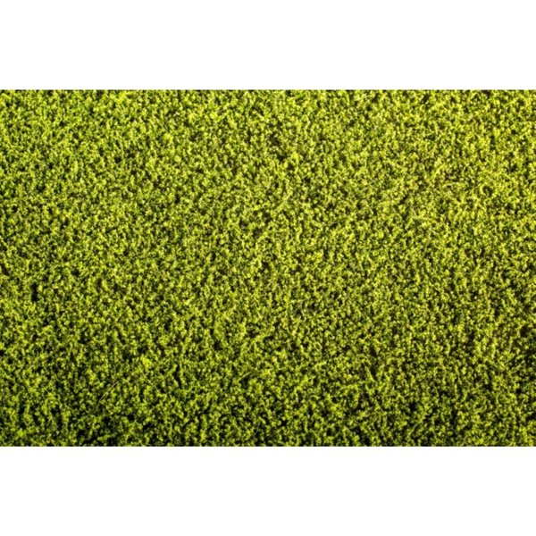 Fertige Matte - Alfalfa Pflanze 18 x 28 cm - Model Scene F440