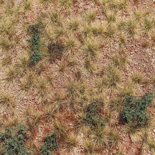 Wüste mit Büschen & Gräsern - Matte 18 x 28 cm - Model Scene F340