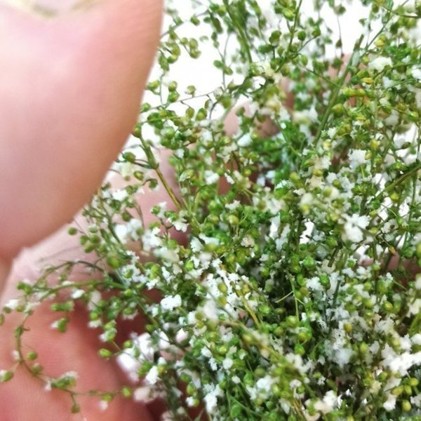 Grüner Blattstrauch mit weißen Blüten - DioramaPresepe FM218