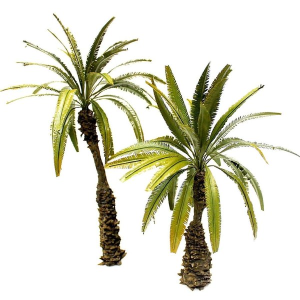 Palmen aus Wüste Set 1:35 - Höhe 26 & 22 cm - 2 Stück - sehr hochwertige Pflanzen - TPD-032